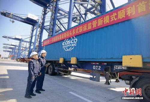 海南自貿港物流通道升級加速，多式聯運助力進出口貨物高效落地